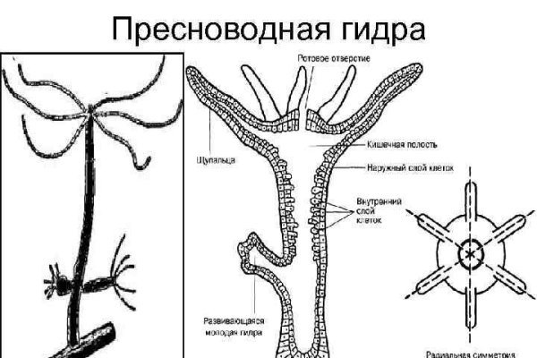 Кракен маркетплейс в москве